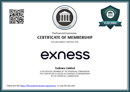 Understanding the Benefits of Exness ECN Rebate